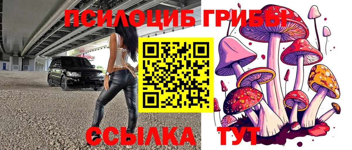 Кемерово  Галлюциногенные грибы Psilocybine cubensis  Вход с VPN 
