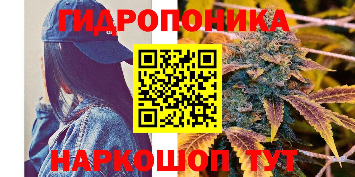 Бошки марихуана сатива Кемерово